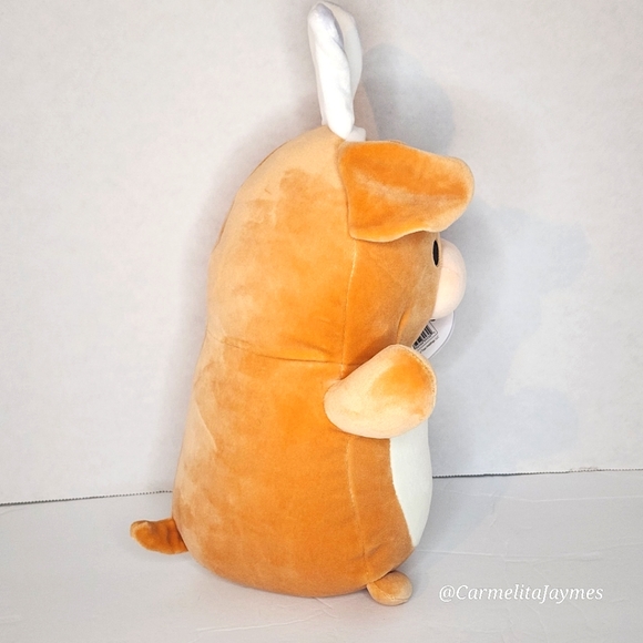 🐣 STEVON 🐶 Dog w Bunny Ears HugMee Easter 2024 Original Squishmallow ☆》NWT《☆ - Picture 5 of 8